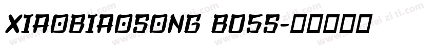 XIAOBIAOSONG B05S字体转换